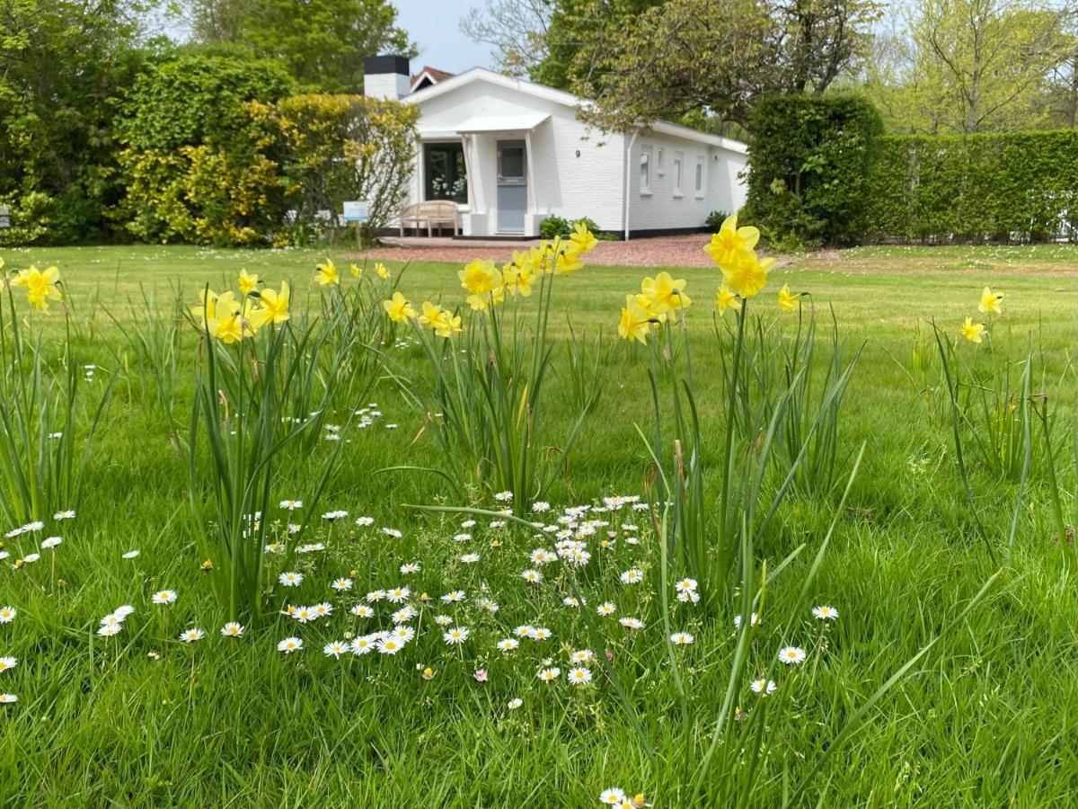 Holiday Park Dennenbos Осткапеле Екстериор снимка