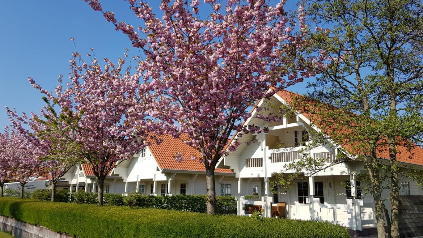 Holiday Park Dennenbos Осткапеле Екстериор снимка