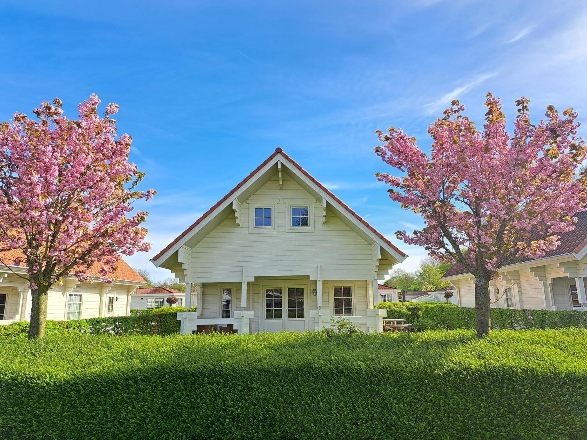 Holiday Park Dennenbos Осткапеле Екстериор снимка