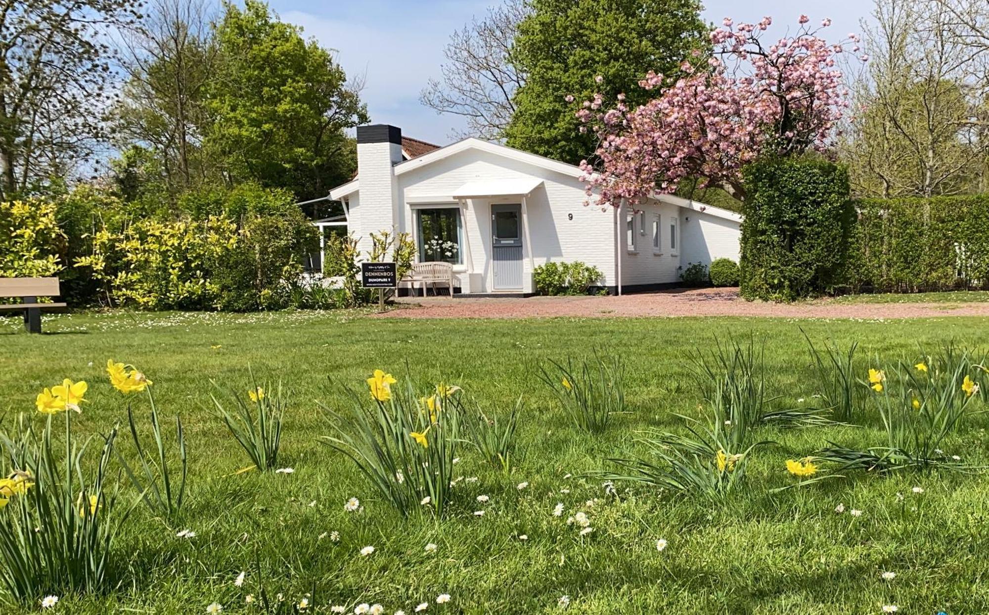 Holiday Park Dennenbos Осткапеле Екстериор снимка