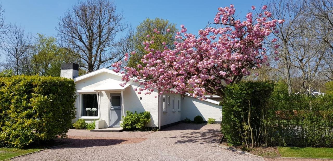 Holiday Park Dennenbos Осткапеле Екстериор снимка
